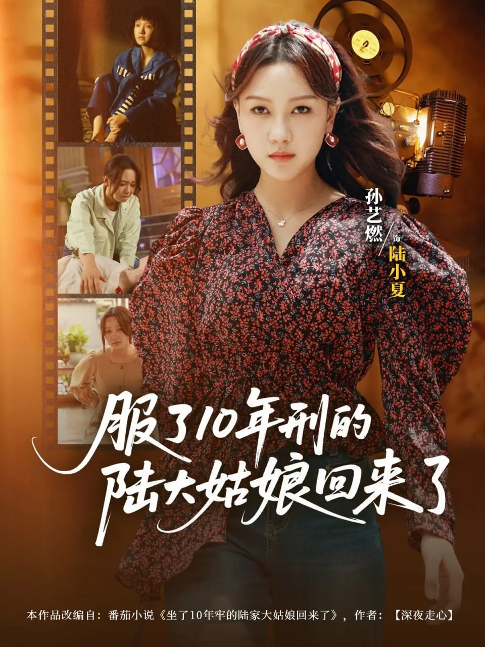 《服了10年刑的陆大姑娘回来了》：救赎还是沉沦？十年归来，人性的复杂抉择与无言的爱